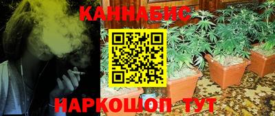 PSILOCYBIN Можга
