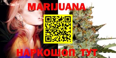 PSILOCYBIN Можга